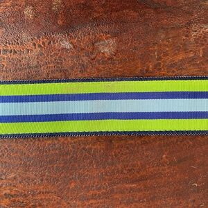 Preppy green and blue striped ribbon belt